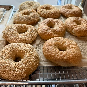 Sesame & Plain Bagels
